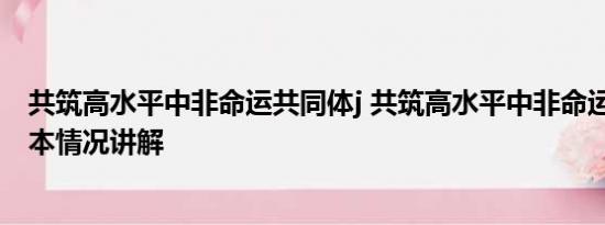 共筑高水平中非命运共同体j 共筑高水平中非命运共同体 基本情况讲解