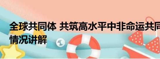 全球共同体 共筑高水平中非命运共同体 基本情况讲解