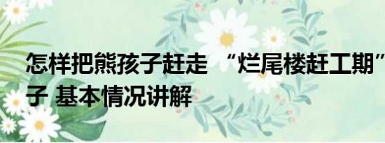 怎样把熊孩子赶走 “烂尾楼赶工期”的熊孩子 基本情况讲解