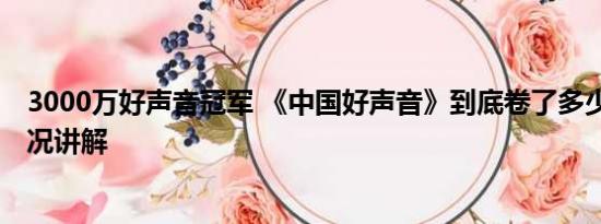 3000万好声音冠军 《中国好声音》到底卷了多少钱 基本情况讲解