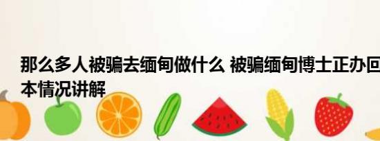 那么多人被骗去缅甸做什么 被骗缅甸博士正办回国手续 基本情况讲解