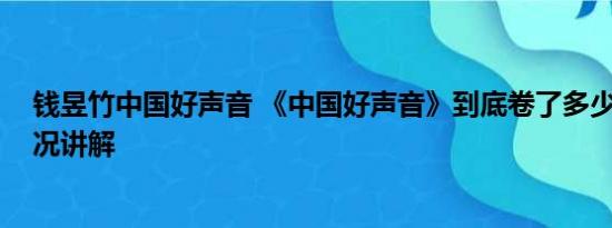 钱昱竹中国好声音 《中国好声音》到底卷了多少钱 基本情况讲解