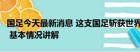 国足今天最新消息 这支国足斩获世界杯亚军！ 基本情况讲解