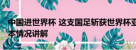 中国进世界杯 这支国足斩获世界杯亚军！ 基本情况讲解