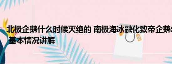 北极企鹅什么时候灭绝的 南极海冰融化致帝企鹅幼鸟被淹死 基本情况讲解