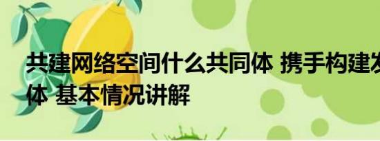 共建网络空间什么共同体 携手构建发展共同体 基本情况讲解