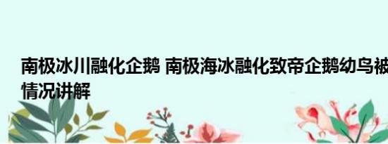 南极冰川融化企鹅 南极海冰融化致帝企鹅幼鸟被淹死 基本情况讲解