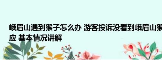 峨眉山遇到猴子怎么办 游客投诉没看到峨眉山猴子 景区回应 基本情况讲解