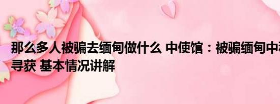 那么多人被骗去缅甸做什么 中使馆：被骗缅甸中科院博士已寻获 基本情况讲解