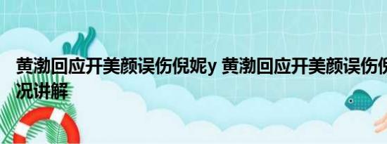 黄渤回应开美颜误伤倪妮y 黄渤回应开美颜误伤倪妮 基本情况讲解