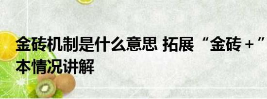 金砖机制是什么意思 拓展“金砖＋”模式 基本情况讲解