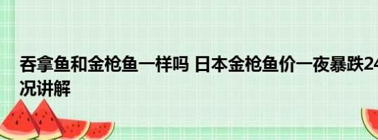 吞拿鱼和金枪鱼一样吗 日本金枪鱼价一夜暴跌24% 基本情况讲解