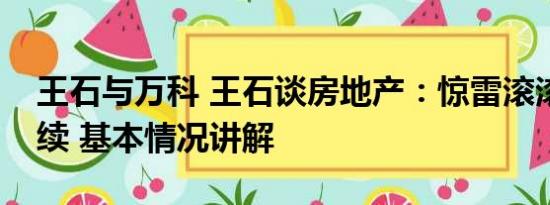 王石与万科 王石谈房地产：惊雷滚滚还会继续 基本情况讲解