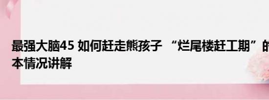 最强大脑45 如何赶走熊孩子 “烂尾楼赶工期”的熊孩子 基本情况讲解