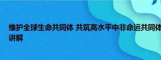 维护全球生命共同体 共筑高水平中非命运共同体 基本情况讲解