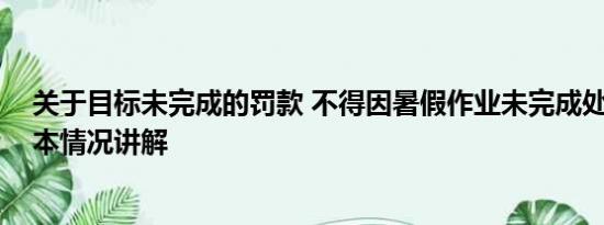 关于目标未完成的罚款 不得因暑假作业未完成处罚学生 基本情况讲解