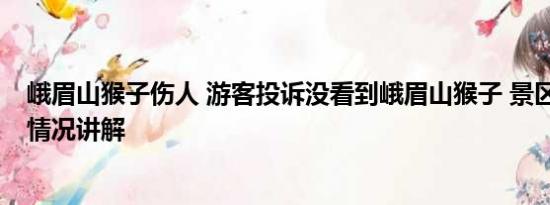 峨眉山猴子伤人 游客投诉没看到峨眉山猴子 景区回应 基本情况讲解