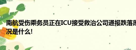 南航受伤乘务员正在ICU接受救治公司通报跌落原因 具体情况是什么!