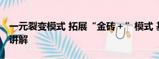 一元裂变模式 拓展“金砖＋”模式 基本情况讲解