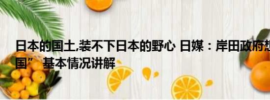 日本的国土,装不下日本的野心 日媒：岸田政府想“孤立中国” 基本情况讲解