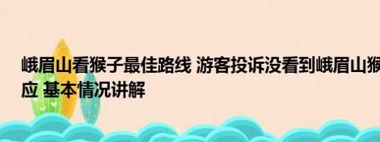 峨眉山看猴子最佳路线 游客投诉没看到峨眉山猴子 景区回应 基本情况讲解