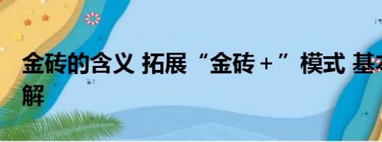 金砖的含义 拓展“金砖＋”模式 基本情况讲解