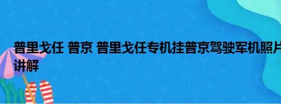 普里戈任 普京 普里戈任专机挂普京驾驶军机照片 基本情况讲解