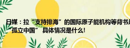 日媒：拉“支持排海”的国际原子能机构等背书岸田政府想“孤立中国” 具体情况是什么!