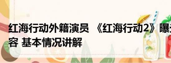 红海行动外籍演员 《红海行动2》曝光主演阵容 基本情况讲解