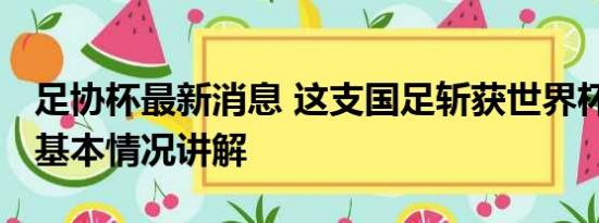 足协杯最新消息 这支国足斩获世界杯亚军！ 基本情况讲解