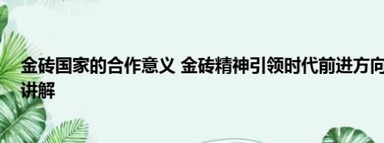 金砖国家的合作意义 金砖精神引领时代前进方向 基本情况讲解