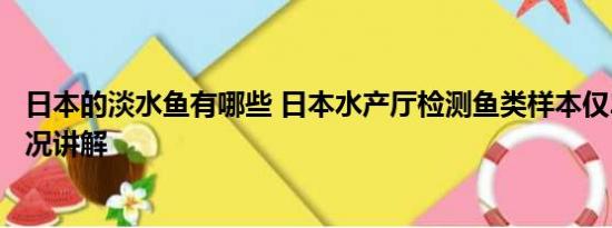 日本的淡水鱼有哪些 日本水产厅检测鱼类样本仅2条 基本情况讲解