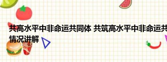 共高水平中非命运共同体 共筑高水平中非命运共同体 基本情况讲解