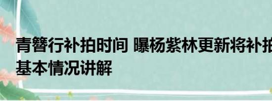 青簪行补拍时间 曝杨紫林更新将补拍青簪行 基本情况讲解