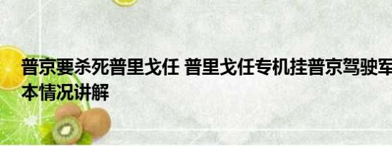 普京要杀死普里戈任 普里戈任专机挂普京驾驶军机照片 基本情况讲解