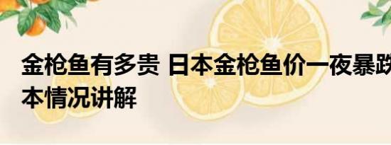 金枪鱼有多贵 日本金枪鱼价一夜暴跌24% 基本情况讲解