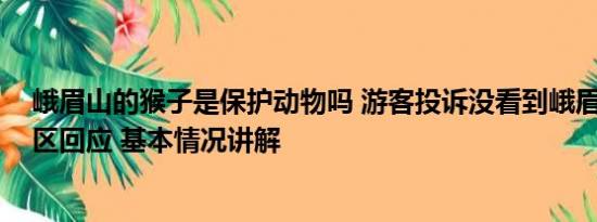 峨眉山的猴子是保护动物吗 游客投诉没看到峨眉山猴子 景区回应 基本情况讲解