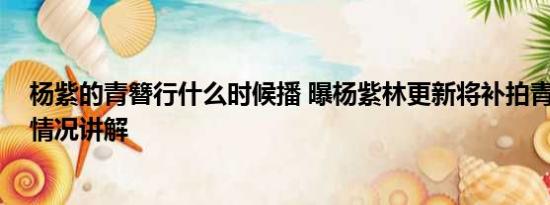 杨紫的青簪行什么时候播 曝杨紫林更新将补拍青簪行 基本情况讲解