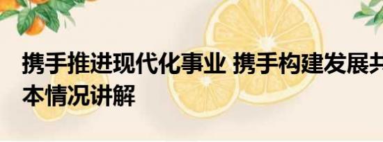 携手推进现代化事业 携手构建发展共同体 基本情况讲解