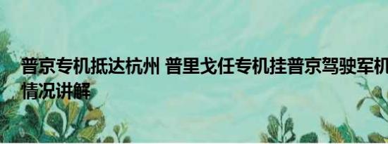 普京专机抵达杭州 普里戈任专机挂普京驾驶军机照片 基本情况讲解