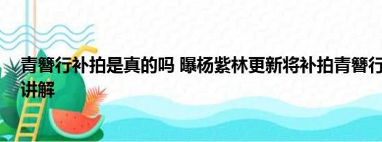 青簪行补拍是真的吗 曝杨紫林更新将补拍青簪行 基本情况讲解