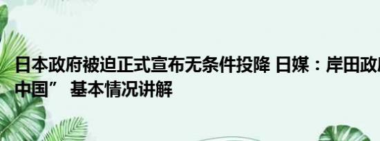 日本政府被迫正式宣布无条件投降 日媒：岸田政府想“孤立中国” 基本情况讲解