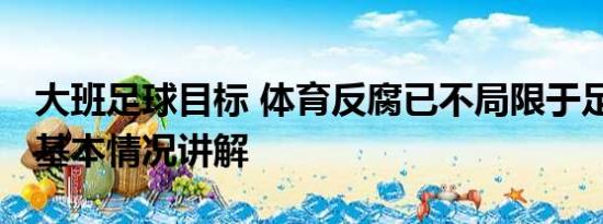 大班足球目标 体育反腐已不局限于足球领域 基本情况讲解