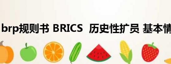 brp规则书 BRICS  历史性扩员 基本情况讲解