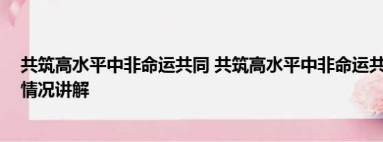 共筑高水平中非命运共同 共筑高水平中非命运共同体 基本情况讲解