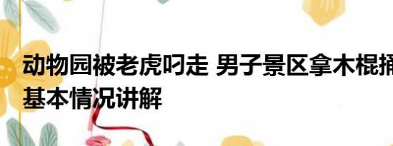 动物园被老虎叼走 男子景区拿木棍捅小老虎 基本情况讲解