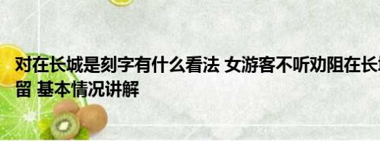 对在长城是刻字有什么看法 女游客不听劝阻在长城刻字被拘留 基本情况讲解