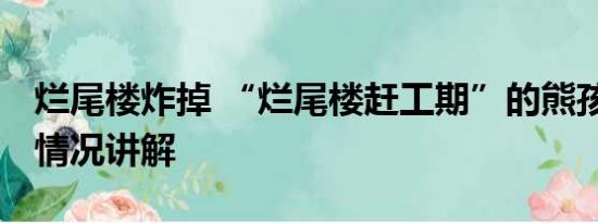 烂尾楼炸掉 “烂尾楼赶工期”的熊孩子 基本情况讲解