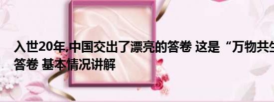 入世20年,中国交出了漂亮的答卷 这是“万物共生”的中国答卷 基本情况讲解