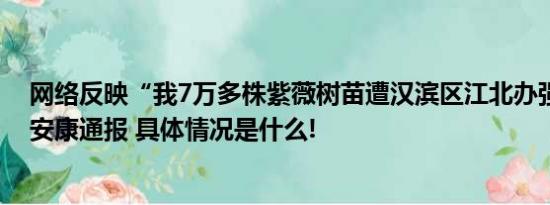 网络反映“我7万多株紫薇树苗遭汉滨区江北办强毁”陕西安康通报 具体情况是什么!